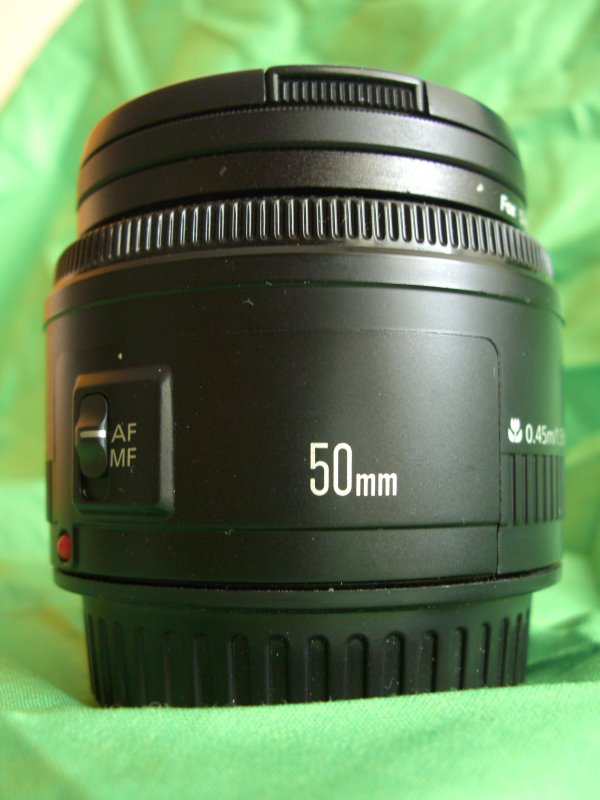 CIMG0727.JPG