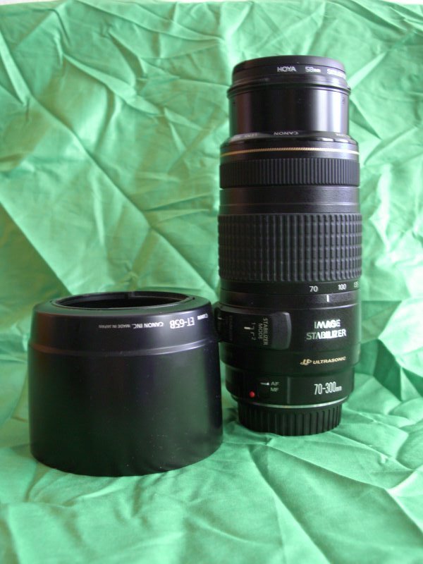 CIMG0736.JPG