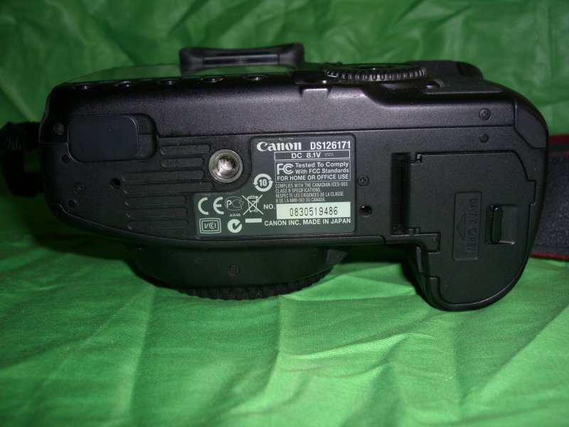 CIMG0743.JPG