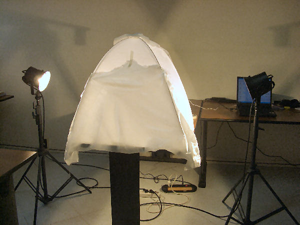 CIMG3374.JPG