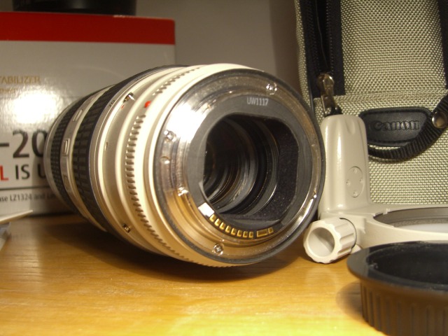 CIMG8186.JPG