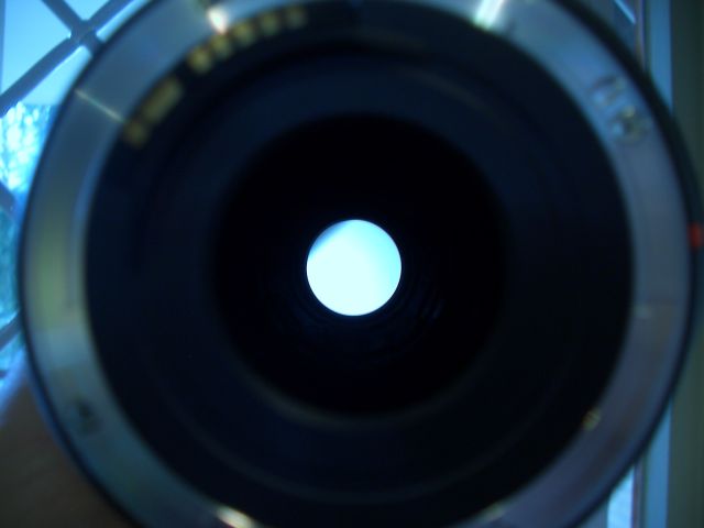 CIMG8293.JPG