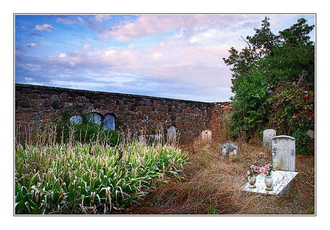 cimitero1.jpg