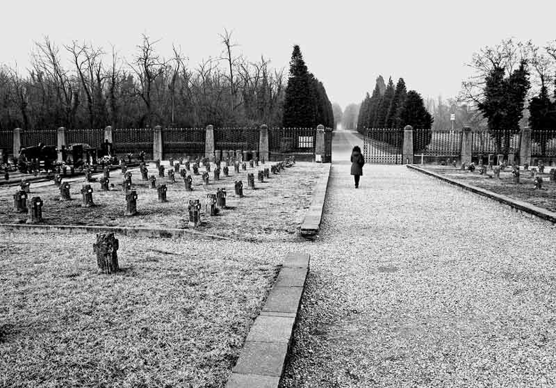 cimitero.jpg