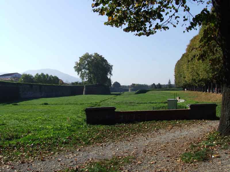 città di lucca (1).jpg