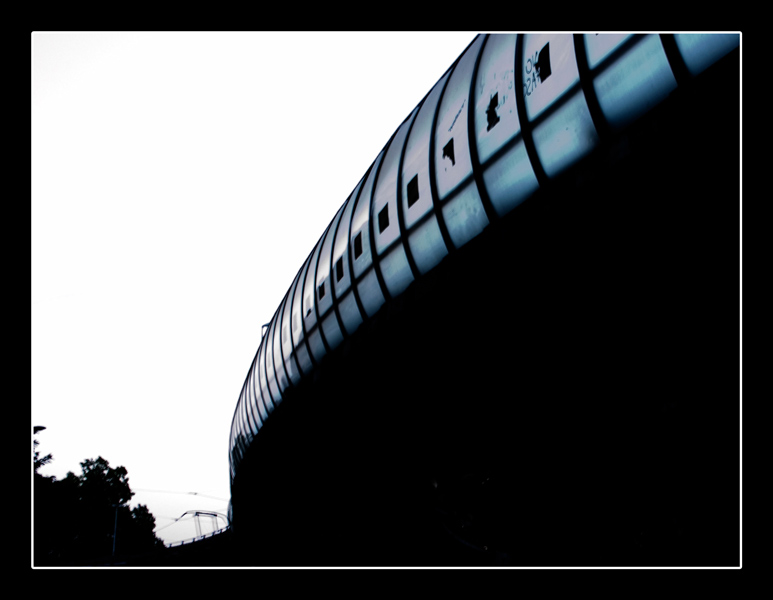 City-Worm---alternativo.jpg