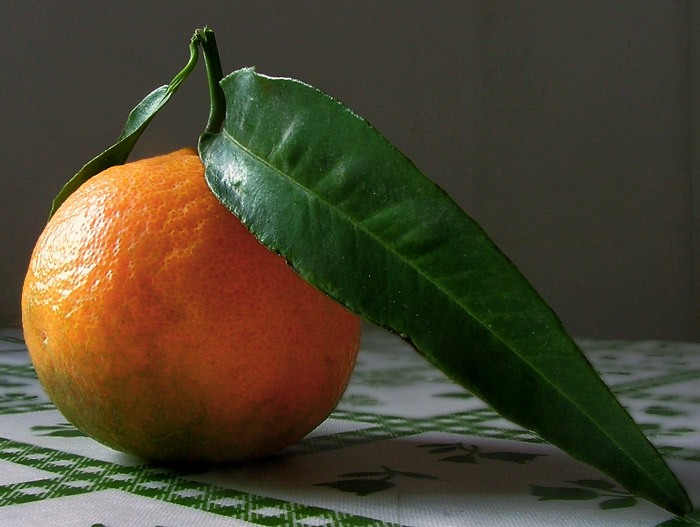 clementine.jpg