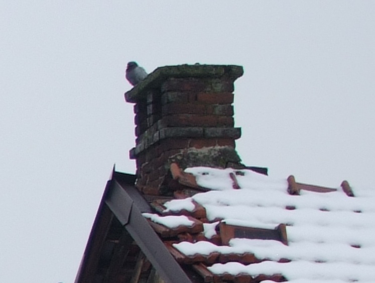 cnik35-2.8.JPG