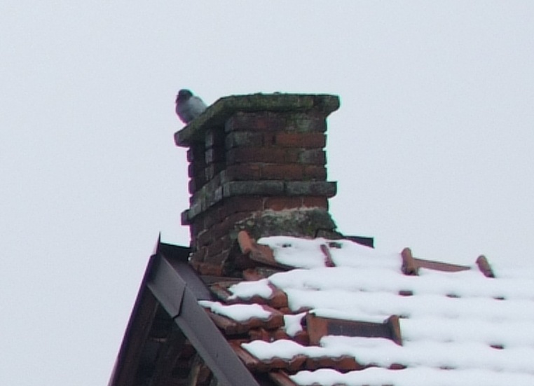 cnik35-4.JPG