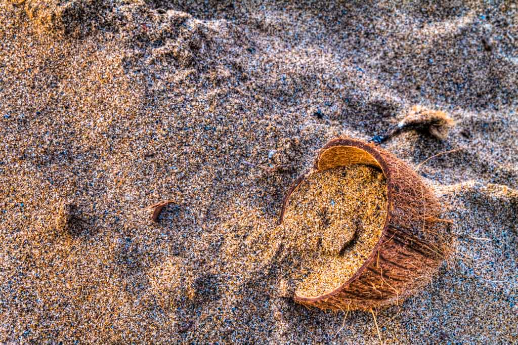 cocco_hdr_v2.jpg
