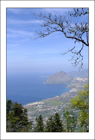 Coccobel.jpg