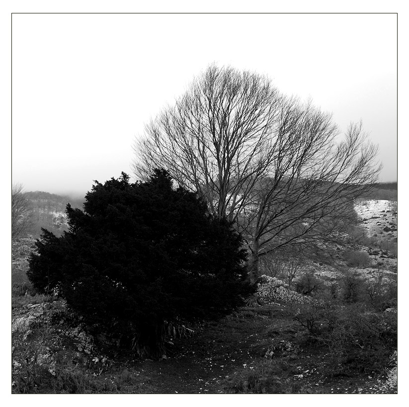 coeurs-en-hiver.jpg