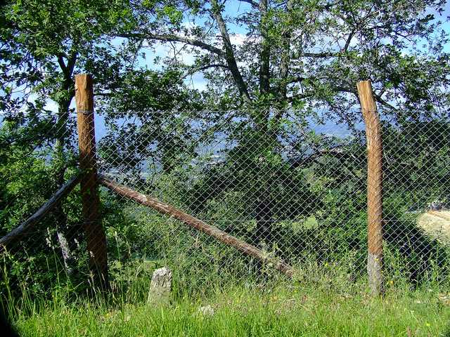 Cogne - 05 [640x480].JPG