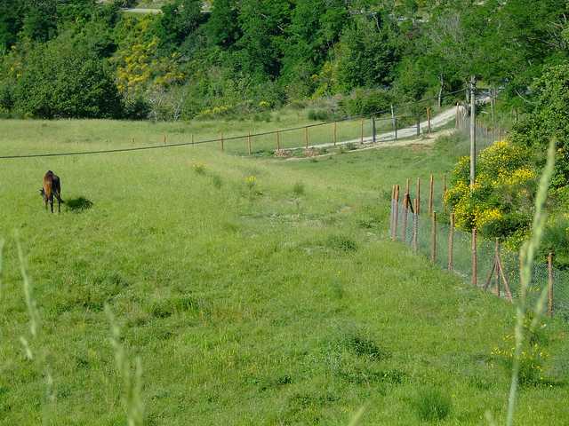 Cogne - 06 [640x480].JPG