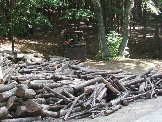 Cogne - 08 [640x480].JPG