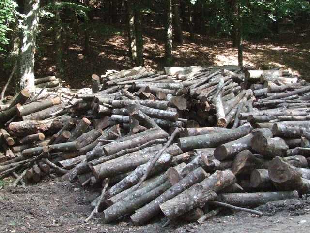 Cogne - 09 [640x480].JPG