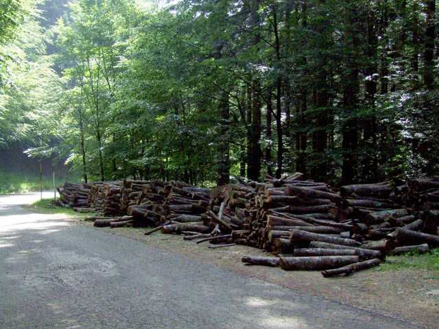 Cogne - 10 [640x480].JPG