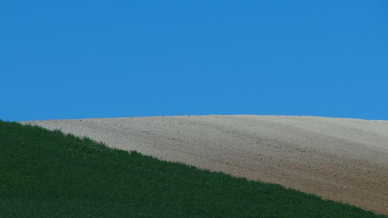 Coll2.jpg