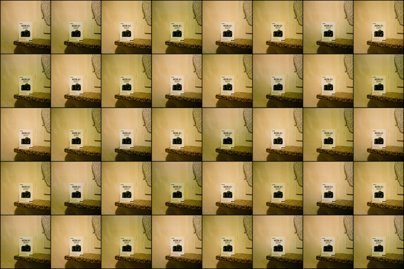 collage mod smalll.jpg