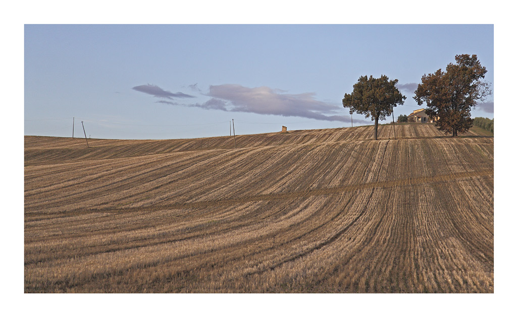 Collina-2.jpg