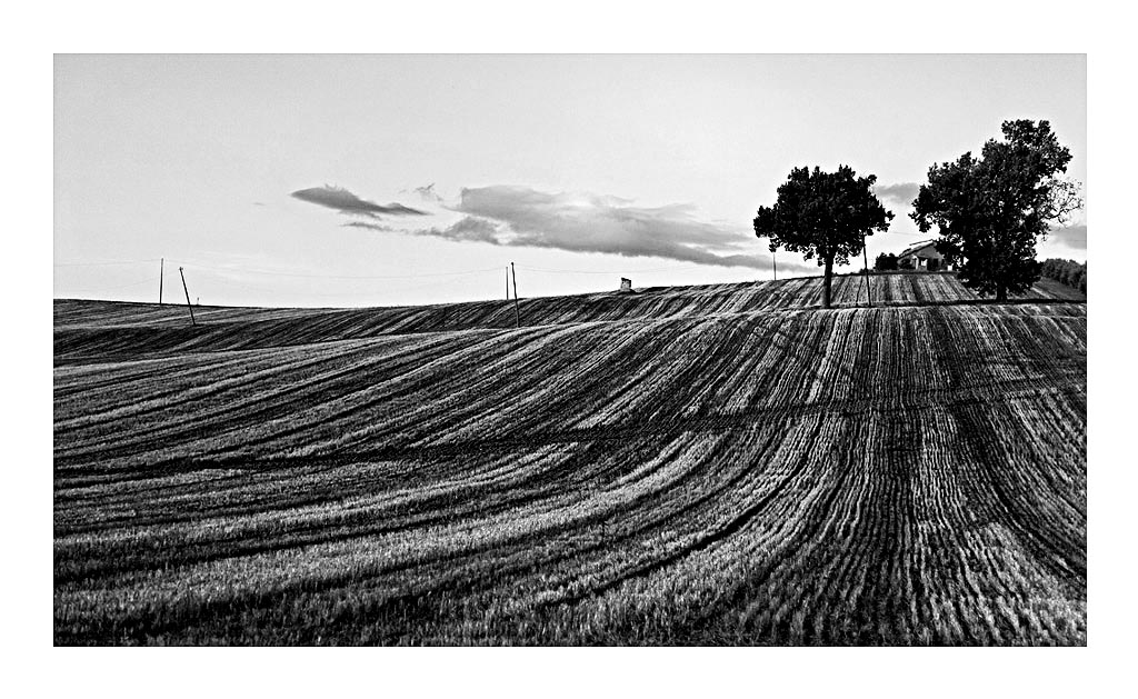 collina-2_128_1.jpg