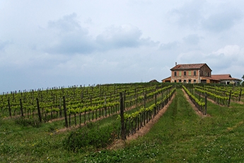 collina.jpg