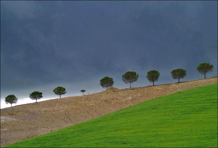 collina.jpg
