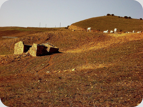 collina al sole- Castelbuono.jpg