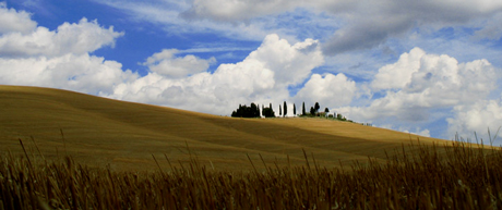 Colline-di-Chianciano-Re.jpg