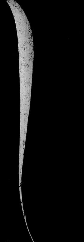 colonna_ridimensionare.jpg