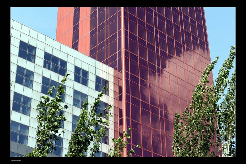 Colore-in-citt2.jpg