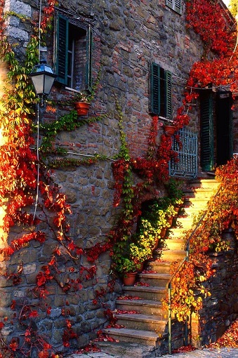 colore.jpg