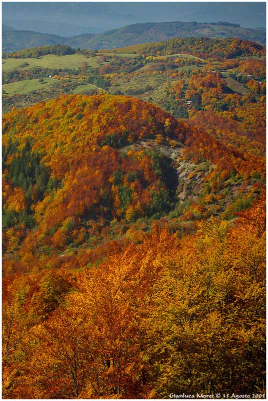 Colori-Autunno.jpg