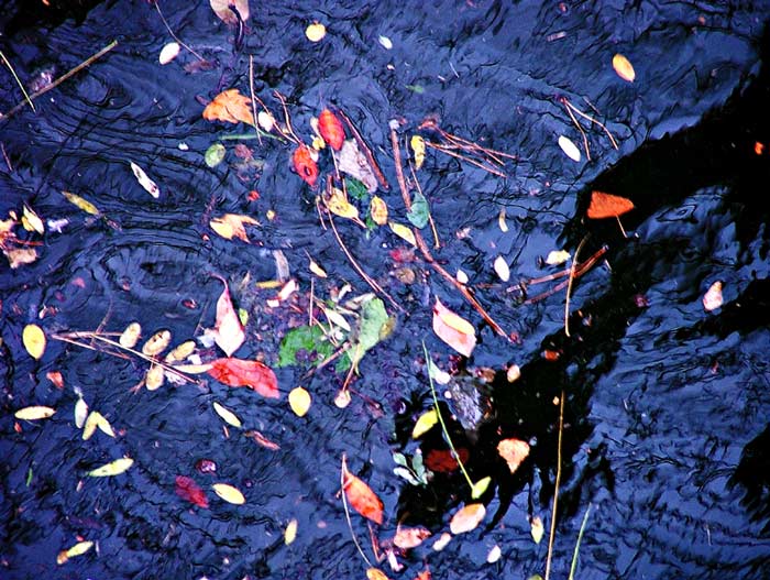 colori.jpg