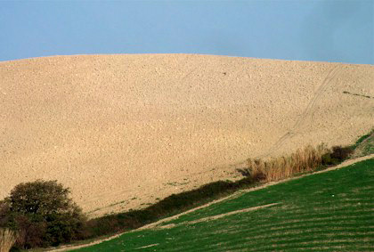 colori_toscani_r.jpg