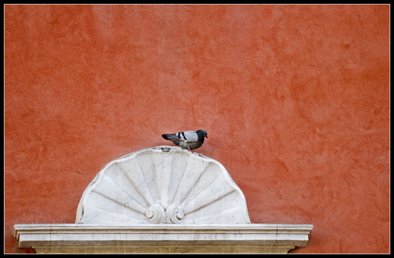 Composizione-Con-Piccione.jpg