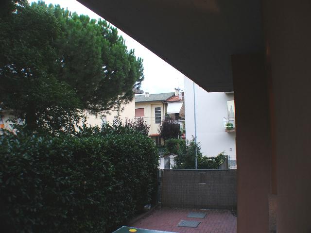 con opteka.jpg