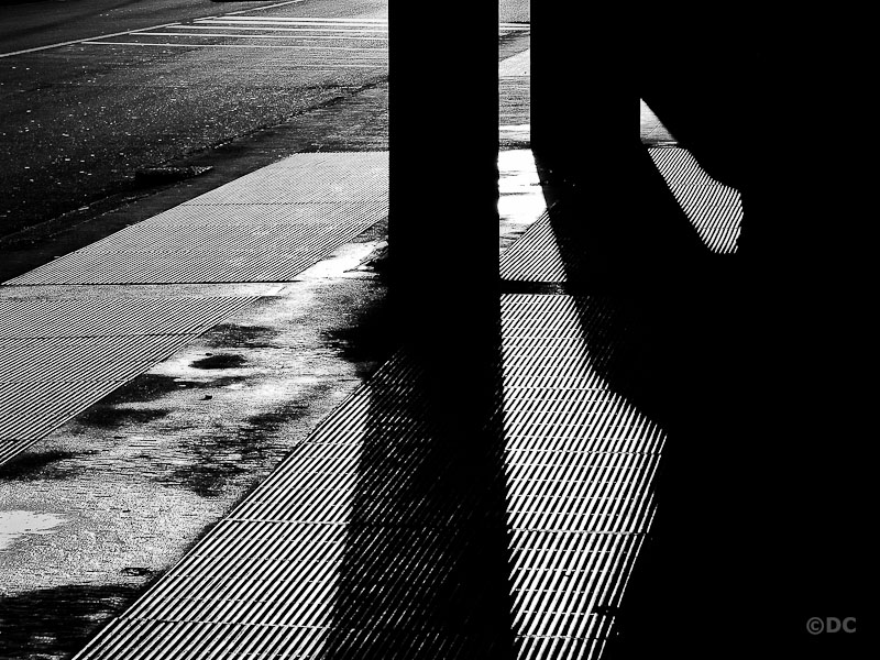 Confine tra luce ed ombra.jpg