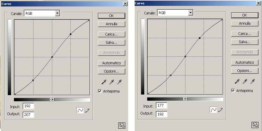Confronto Curve-1.jpg