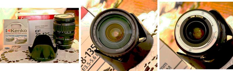 ContactSheet-001.jpg