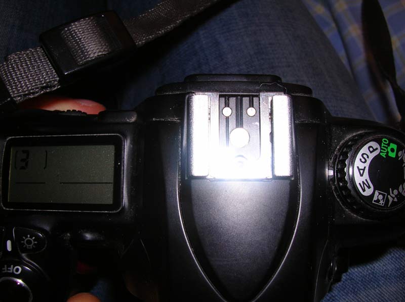 Contatto Flash.jpg