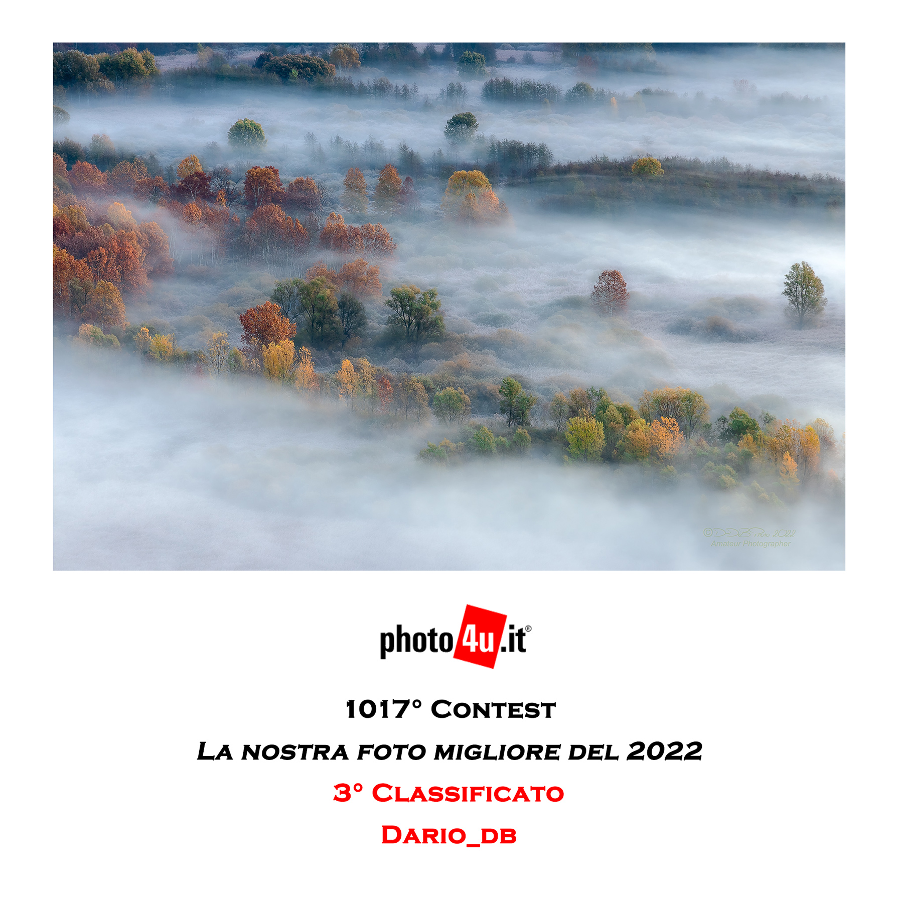 Contest-1017-attestato-terzo--classificato.jpg