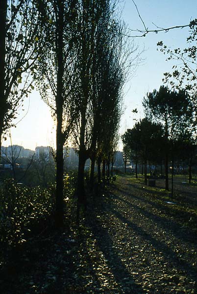 controluce.jpg