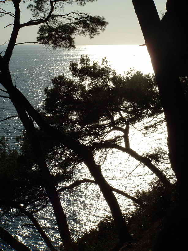 controluce.jpg