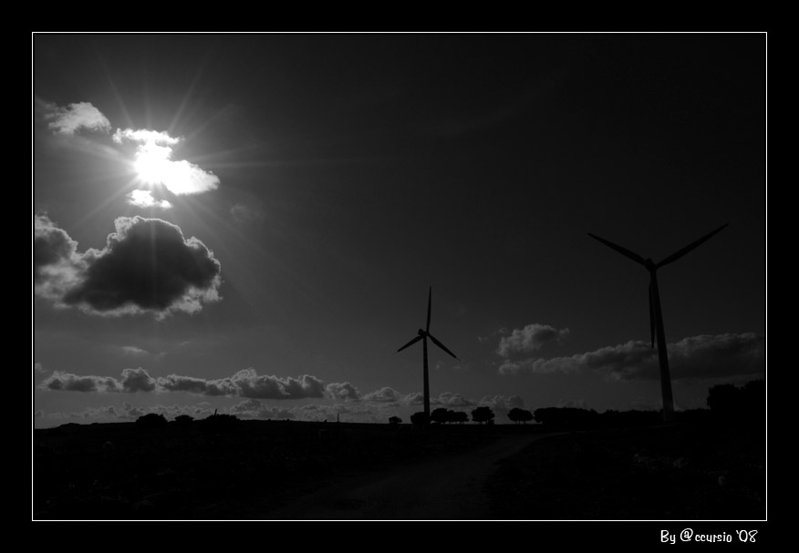 Controluce 2.jpg