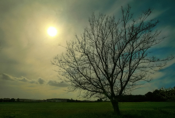 controluce .jpg