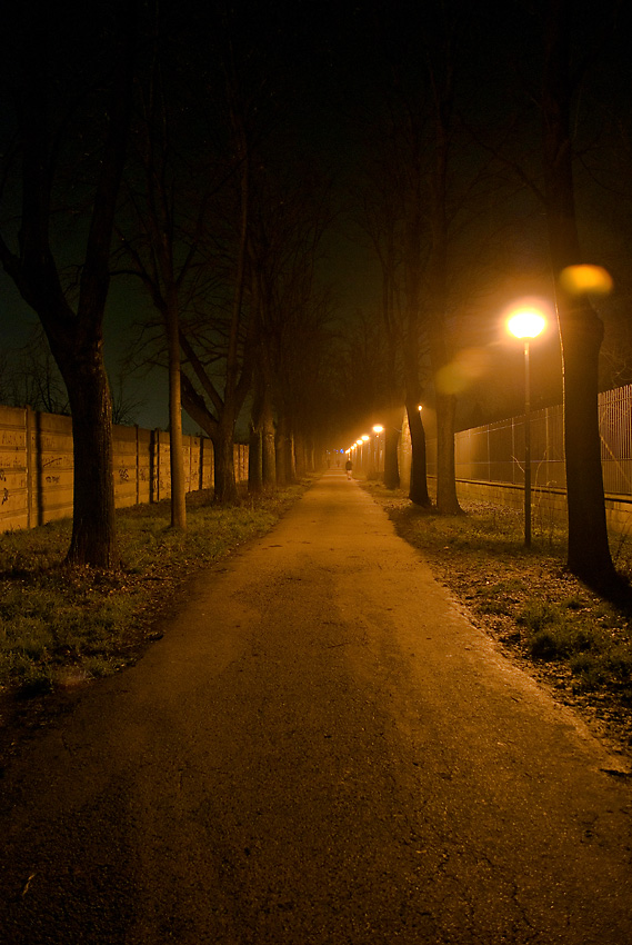 controviale-notte.jpg
