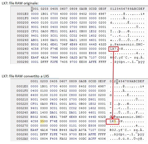 ConversioneRAW.jpg