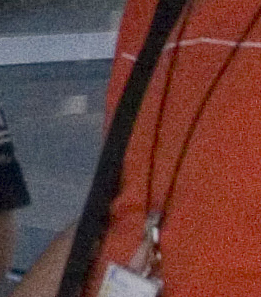 convertita_3200_ACR_crop200.jpg