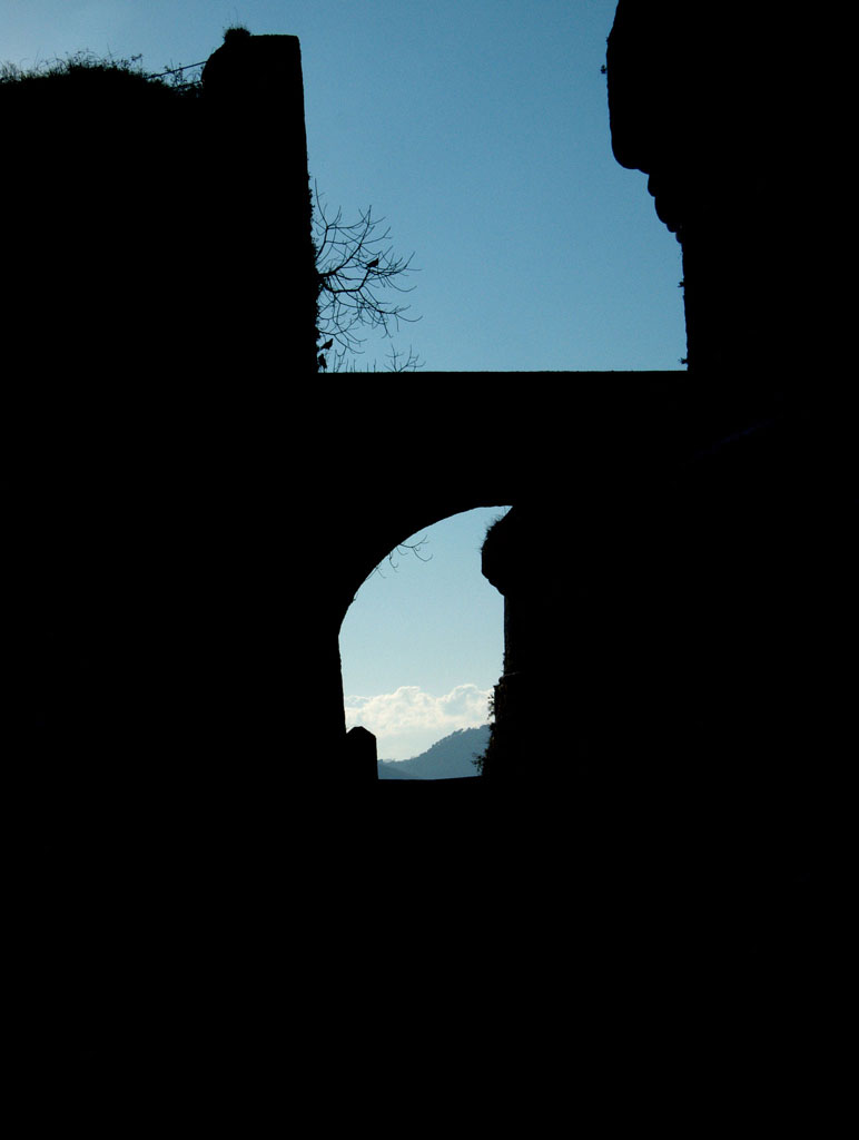 Copia-di-DSCF0512bis.jpg